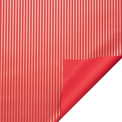Immagini/shoppercenter_10069_rosso