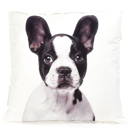 shoppercenter_10231_deco