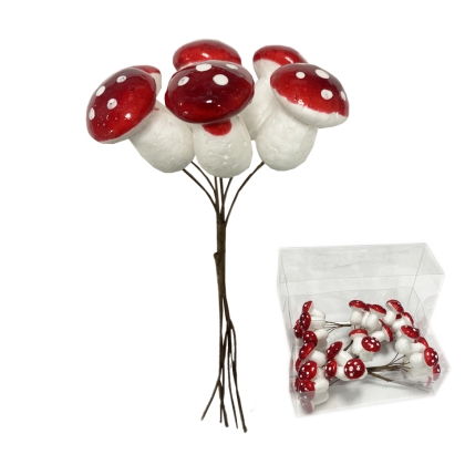 Immagini/shoppercenter_10502_funghi