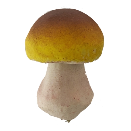 Immagini/shoppercenter_10503_funghi