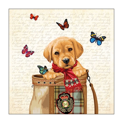 Immagini/shoppercenter_10545_salviette