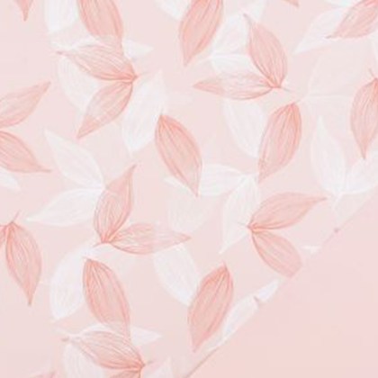 shoppercenter_10858_bobina