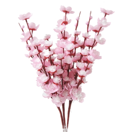 Immagini/shoppercenter_10973_fiore
