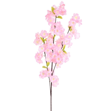 Immagini/shoppercenter_10976_fiore