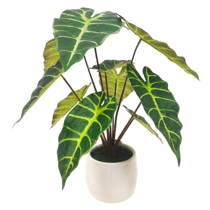 Immagini/shoppercenter_10978_pianta