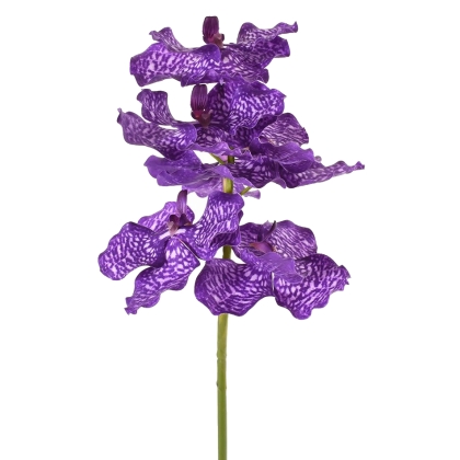 Immagini/shoppercenter_10986_fiore