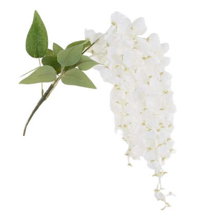 Immagini/shoppercenter_11004_fiore