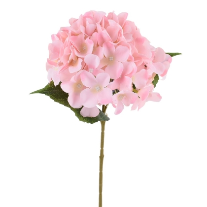 Immagini/shoppercenter_11006_fiore