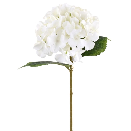 Immagini/shoppercenter_11007_fiore