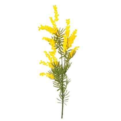 Immagini/shoppercenter_11019_fiore
