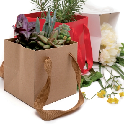 Immagini/shoppercenter_11256_shopper