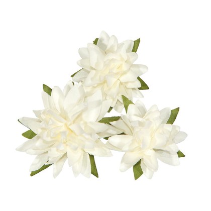 shoppercenter_11313_pick