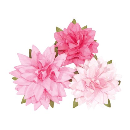 shoppercenter_11314_pick