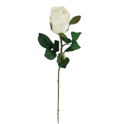 Immagini/shoppercenter_11404_fiore