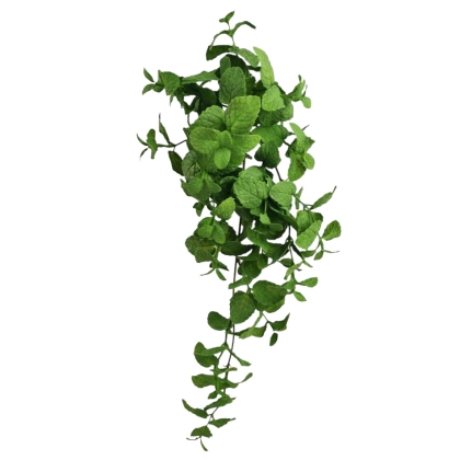 Immagini/shoppercenter_11405_fiore