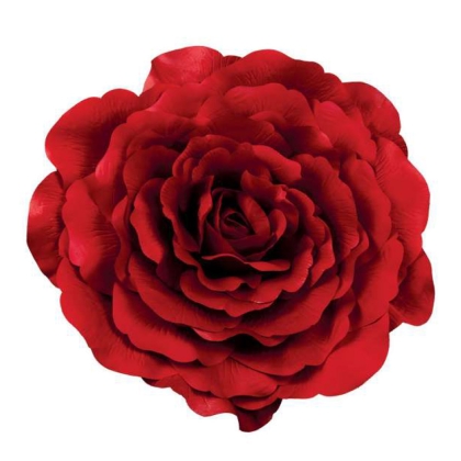 Immagini/shoppercenter_11414_fiore