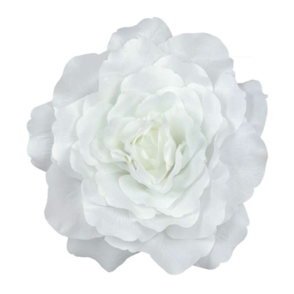 Immagini/shoppercenter_11415_fiore