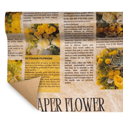 Immagini/shoppercenter_11477_carta