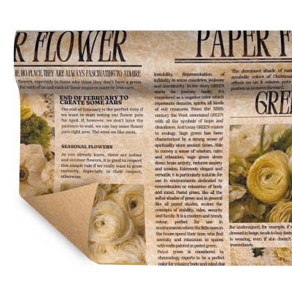 Immagini/shoppercenter_11480_carta