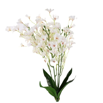 Immagini/shoppercenter_11493_fiore
