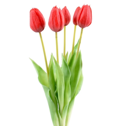 Immagini/shoppercenter_11498_fiore