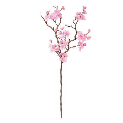 Immagini/shoppercenter_11504_fiore