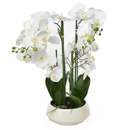 Immagini/shoppercenter_11546_fiore