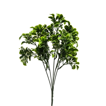Immagini/shoppercenter_11548_fiore