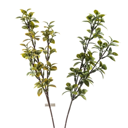 Immagini/shoppercenter_11549_fiore
