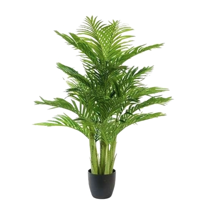 Immagini/shoppercenter_11584_fiore