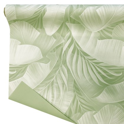 shoppercenter_11639_bobina