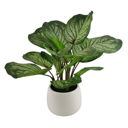 Immagini/shoppercenter_11649_pianta