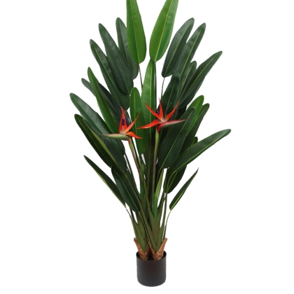 Immagini/shoppercenter_11650_pianta