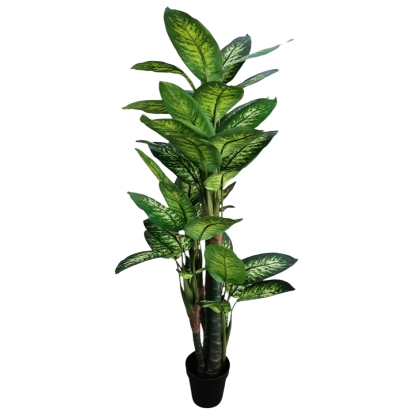 Immagini/shoppercenter_11651_pianta