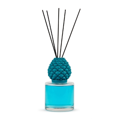 Immagini/shoppercenter_11679_candela