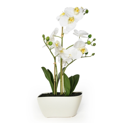 Immagini/shoppercenter_11727_vaso