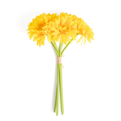 Immagini/shoppercenter_11729_giallo
