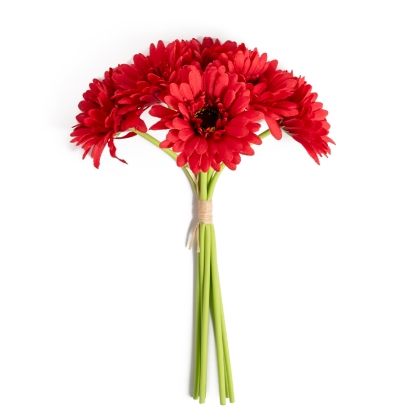 Immagini/shoppercenter_11731_fiore