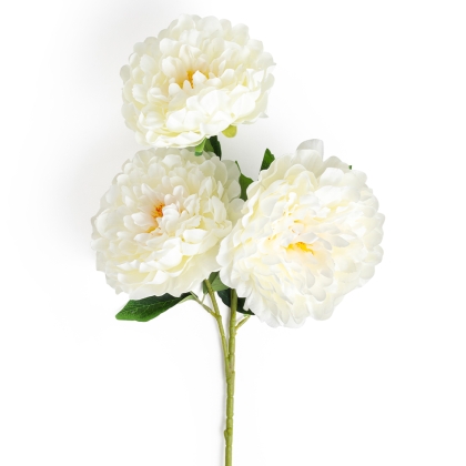 Immagini/shoppercenter_11732_fiore