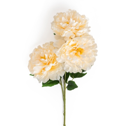 Immagini/shoppercenter_11737_fiore