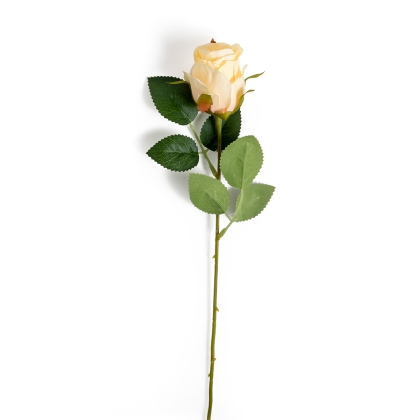 Immagini/shoppercenter_11738_fiore