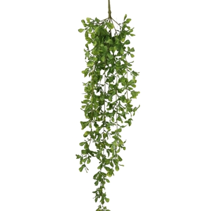 Immagini/shoppercenter_11760_verde
