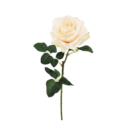 Immagini/shoppercenter_12000_fiore