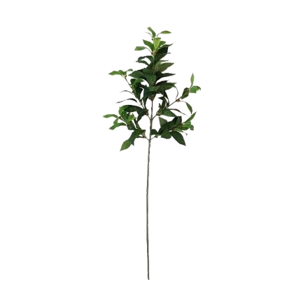 Immagini/shoppercenter_12003_fiore