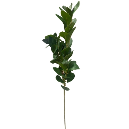 Immagini/shoppercenter_12082_fiore