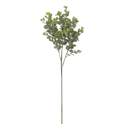 Immagini/shoppercenter_12083_fiore