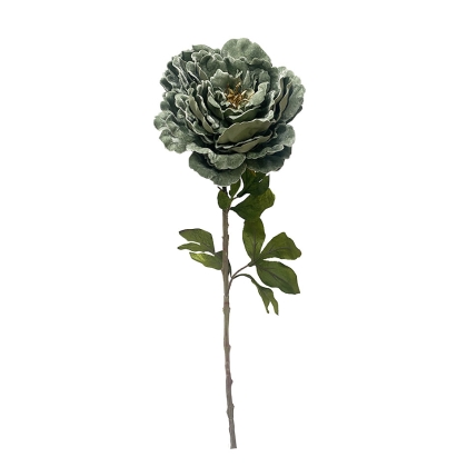 Immagini/shoppercenter_12084_fiore