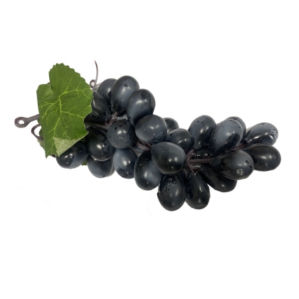 Immagini/shoppercenter_12101_fiore