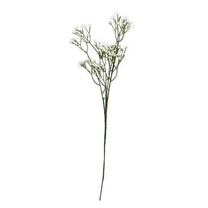 Immagini/shoppercenter_12104_fiore