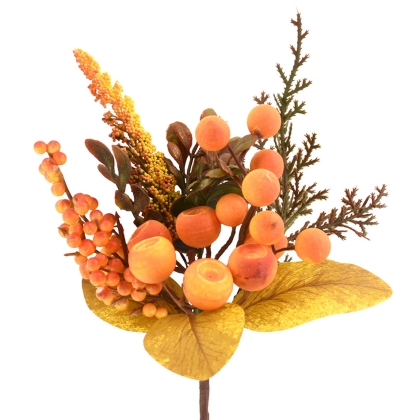 Immagini/shoppercenter_12233_deco